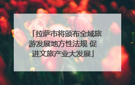 拉萨市将颁布全域旅游发展地方性法规 促进文旅产业大发展