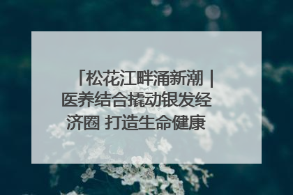 松花江畔涌新潮｜医养结合撬动银发经济圈 打造生命健康产业新样本