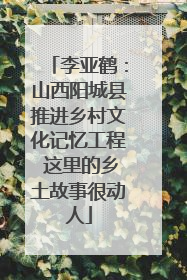 李亚鹤：山西阳城县推进乡村文化记忆工程 这里的乡土故事很动人