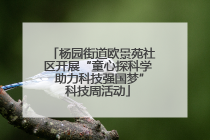 杨园街道欧景苑社区开展“童心探科学 助力科技强国梦”科技周活动