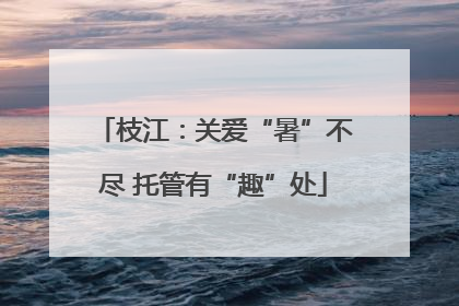 枝江：关爱“暑”不尽 托管有“趣”处