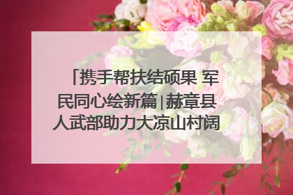 携手帮扶结硕果 军民同心绘新篇∣赫章县人武部助力大凉山村阔步乡村振兴路