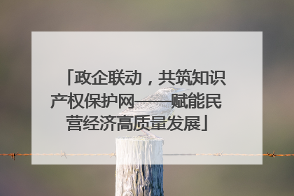 政企联动，共筑知识产权保护网——赋能民营经济高质量发展