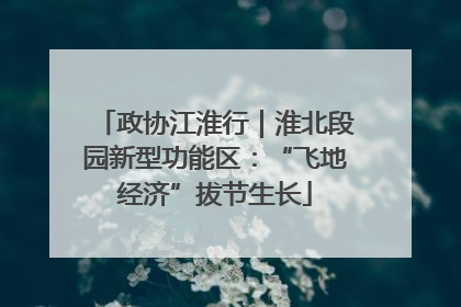 政协江淮行｜淮北段园新型功能区：“飞地经济”拔节生长