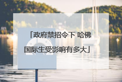 政府禁招令下 哈佛国际生受影响有多大