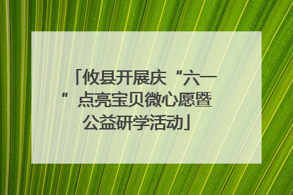 攸县开展庆“六一”点亮宝贝微心愿暨公益研学活动