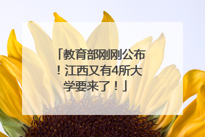 教育部刚刚公布！江西又有4所大学要来了！