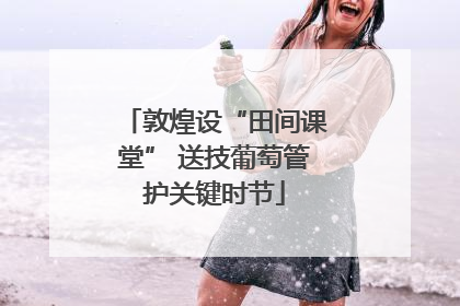 敦煌设“田间课堂” 送技葡萄管护关键时节