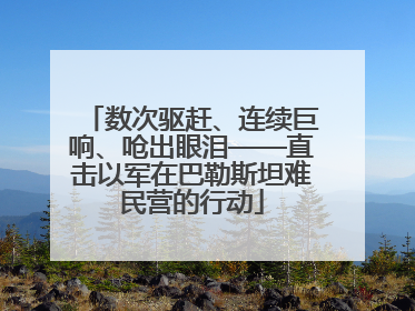 数次驱赶、连续巨响、呛出眼泪——直击以军在巴勒斯坦难民营的行动