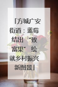 方城广安街道：蓝莓结出 “致富果” 绘就乡村振兴新图景