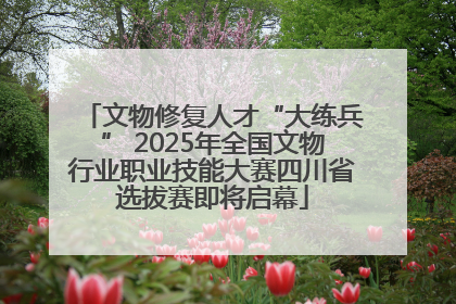文物修复人才“大练兵” 2025年全国文物行业职业技能大赛四川省选拔赛即将启幕