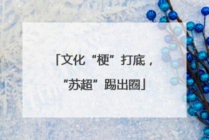 文化“梗”打底，“苏超”踢出圈