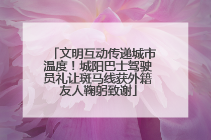 文明互动传递城市温度！城阳巴士驾驶员礼让斑马线获外籍友人鞠躬致谢