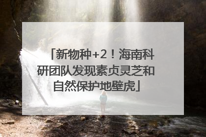 新物种+2！海南科研团队发现素贞灵芝和自然保护地壁虎