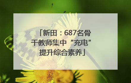 新田：687名骨干教师集中“充电” 提升综合素养