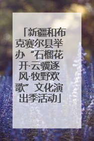 新疆和布克赛尔县举办“石榴花开·云骥逐风·牧野欢歌”文化演出季活动