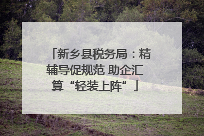 新乡县税务局：精辅导促规范 助企汇算“轻装上阵”