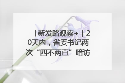 新发路观察+｜20天内，省委书记两次“四不两直”暗访，有何深意？