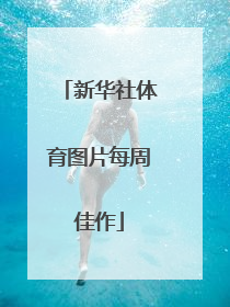 新华社体育图片每周佳作