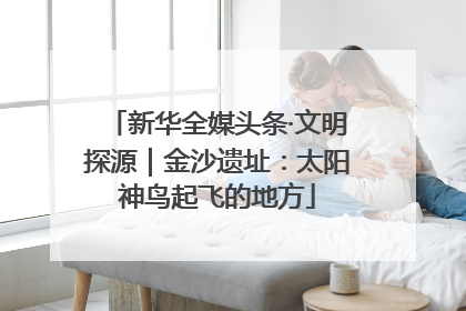 新华全媒头条·文明探源｜金沙遗址：太阳神鸟起飞的地方