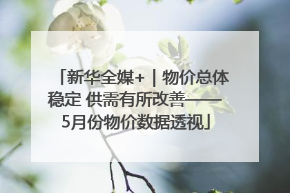新华全媒+｜物价总体稳定 供需有所改善——5月份物价数据透视