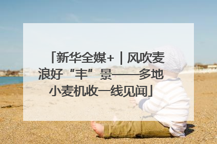 新华全媒+｜风吹麦浪好“丰”景——多地小麦机收一线见闻