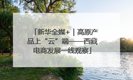 新华全媒+｜高原产品上“云”端——西藏电商发展一线观察