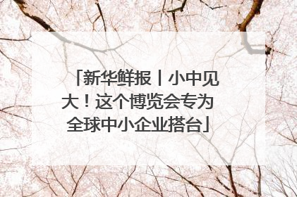 新华鲜报丨小中见大！这个博览会专为全球中小企业搭台