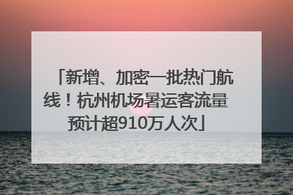 新增、加密一批热门航线！杭州机场暑运客流量预计超910万人次