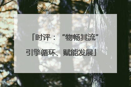 时评：“物畅其流”引擎循环、赋能发展