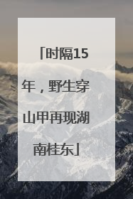 时隔15年，野生穿山甲再现湖南桂东