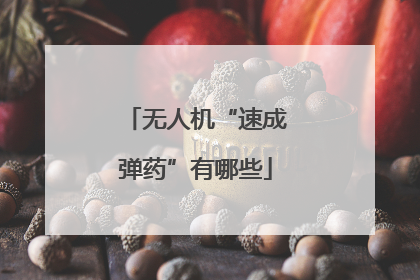 无人机“速成弹药”有哪些