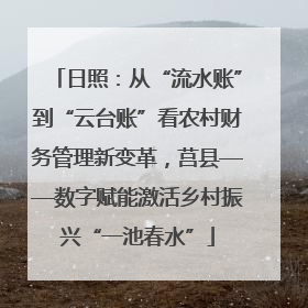 日照：从“流水账”到“云台账”看农村财务管理新变革，莒县——数字赋能激活乡村振兴“一池春水”
