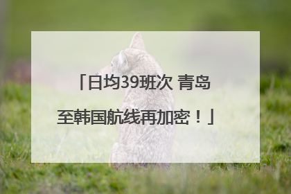 日均39班次 青岛至韩国航线再加密！