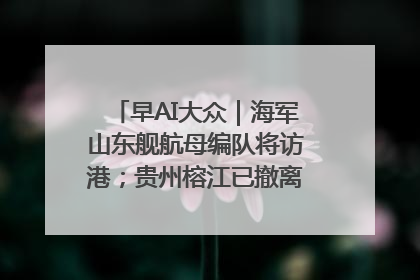早AI大众｜海军山东舰航母编队将访港；贵州榕江已撤离转移群众超4万人