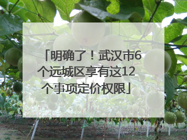 明确了！武汉市6个远城区享有这12个事项定价权限