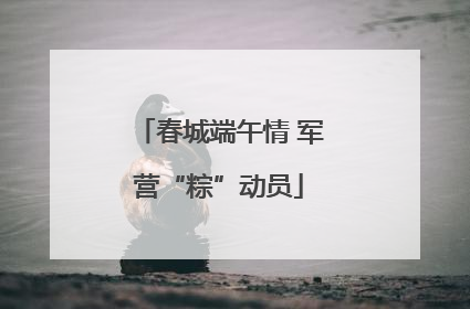 春城端午情 军营“粽”动员
