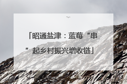 昭通盐津：蓝莓“串”起乡村振兴增收链
