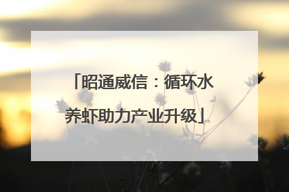 昭通威信：循环水养虾助力产业升级