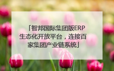 智邦国际集团版ERP生态化开放平台，连接百家集团产业链系统