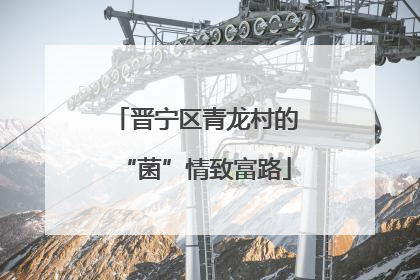 晋宁区青龙村的“菌”情致富路