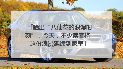 晒出“八仙花的浪漫时刻”，今天，不少读者将这份浪漫延续到家里