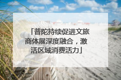 普陀持续促进文旅商体展深度融合，激活区域消费活力