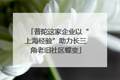 普陀这家企业以“上海经验”助力长三角老旧社区蝶变