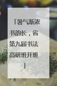 暑气渐浓书韵长，省第九届书法高研班开班