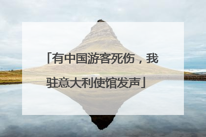 有中国游客死伤，我驻意大利使馆发声