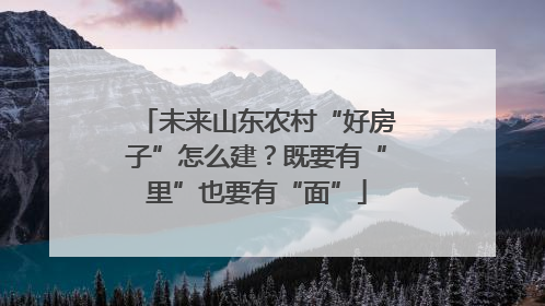 未来山东农村“好房子”怎么建？既要有“里”也要有“面”
