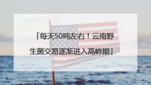 每天50吨左右！云南野生菌交易逐渐进入高峰期