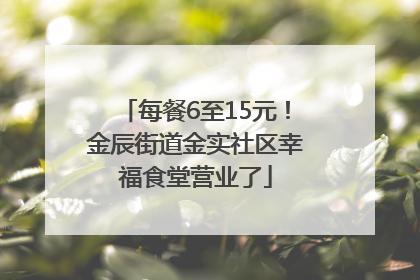 每餐6至15元！金辰街道金实社区幸福食堂营业了