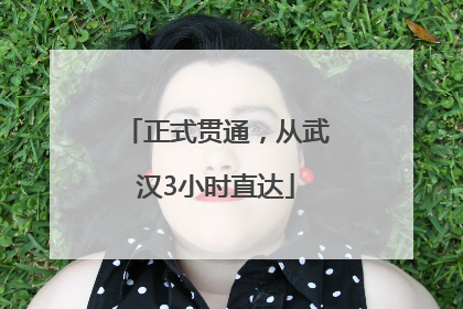 正式贯通，从武汉3小时直达